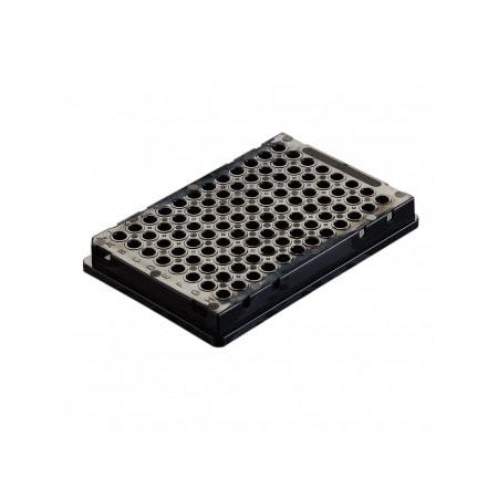 Simport Scientific Thin Wall PCR Plates, Opaque, 50/PK 141351